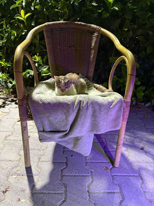 Sonstiges Sunmelia Beach Resort