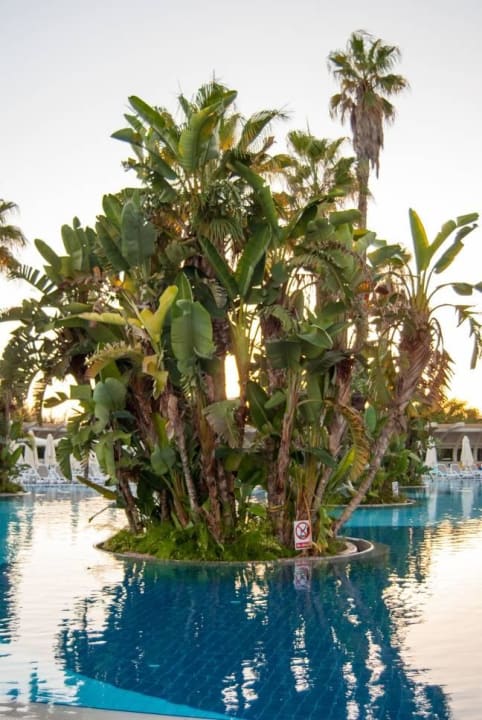 Ohne Worte ... Susesi Luxury Resort