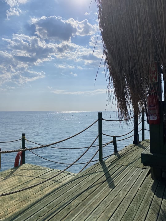 Strand Crystal Flora Pearl Collection