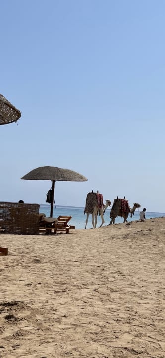 Strand Hotel Gorgonia Beach Resort