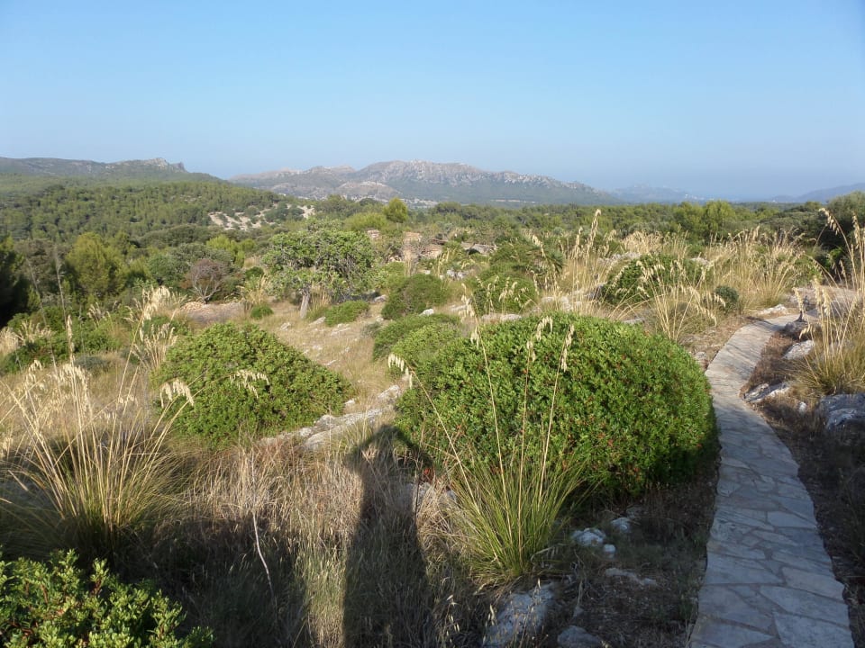 3000m² Garten von oben Finca Serra
