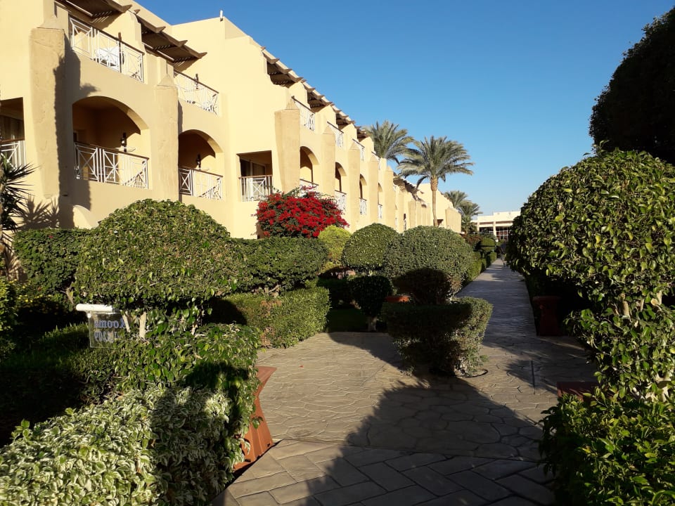 Gartenanlage Prima Life Makadi Resort