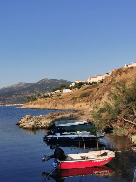 Ausblick Hotel Anaxos Hill Village