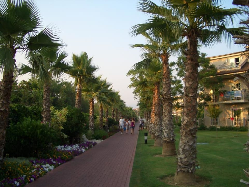 Gartenanlage und Weg zu den Nebenhäusern Sunis Elita Beach Resort & Spa