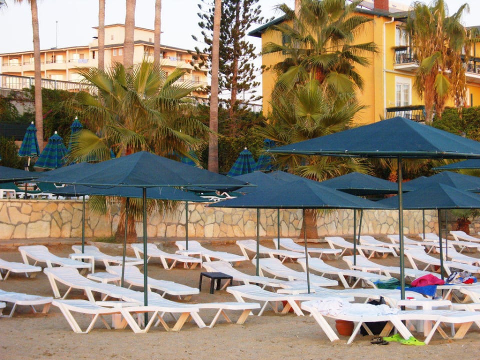 Strand Abends Antik Garden