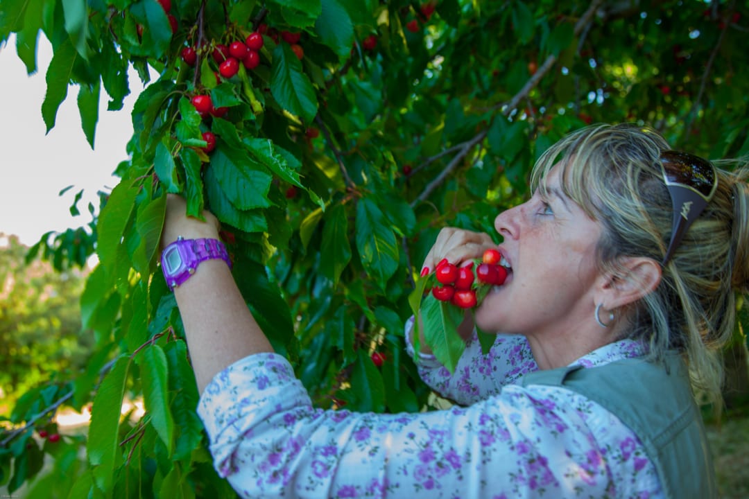 Gartenanlage Hotel Sa Mola Srl