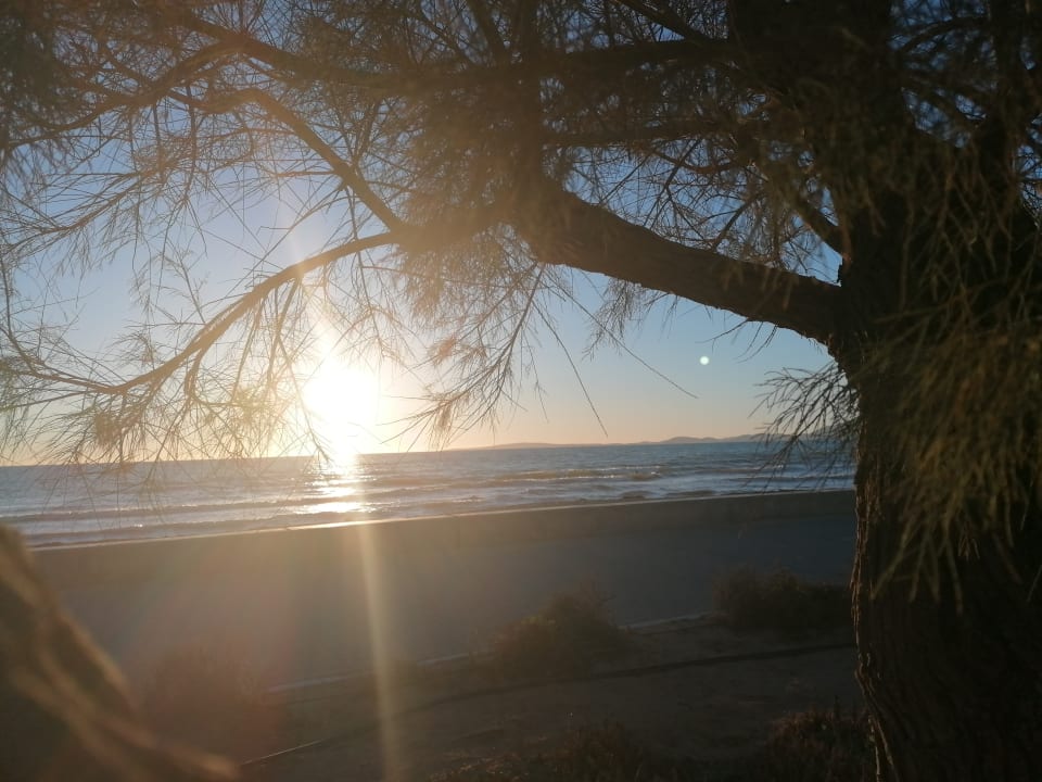 Strand Grupotel Playa de Palma Suites & Spa