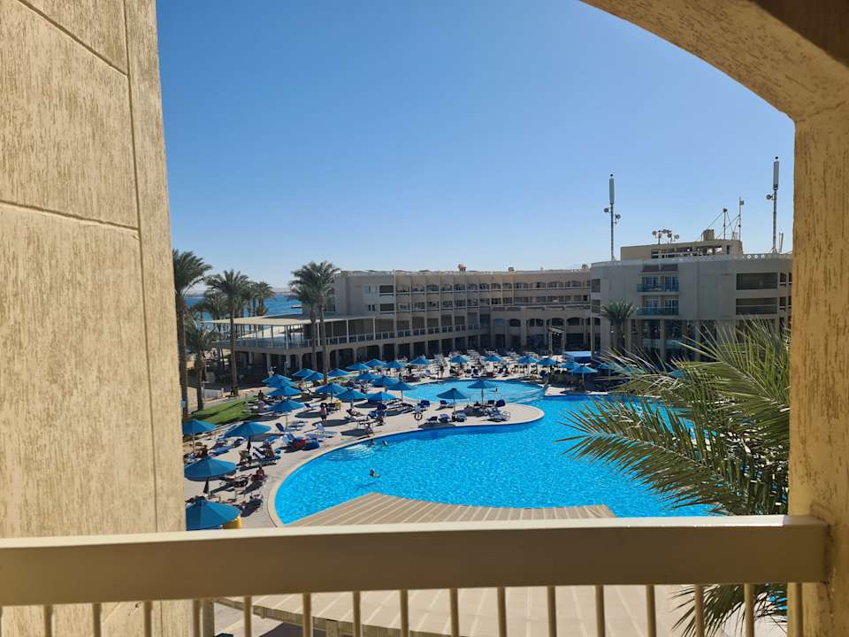 Pool Beach Albatros Resort