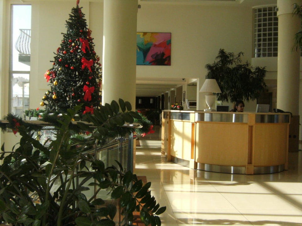 Reception Cavalieri Art Hotel