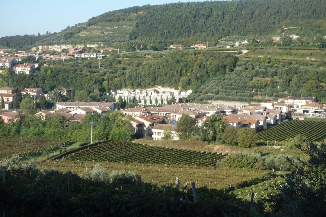 View from the guest house over the vineyards Gästehaus Fratelli Vogadori