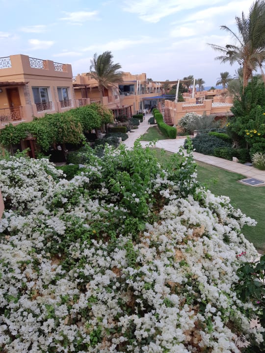 Gartenanlage Shams Prestige Abu Soma-Adults Only