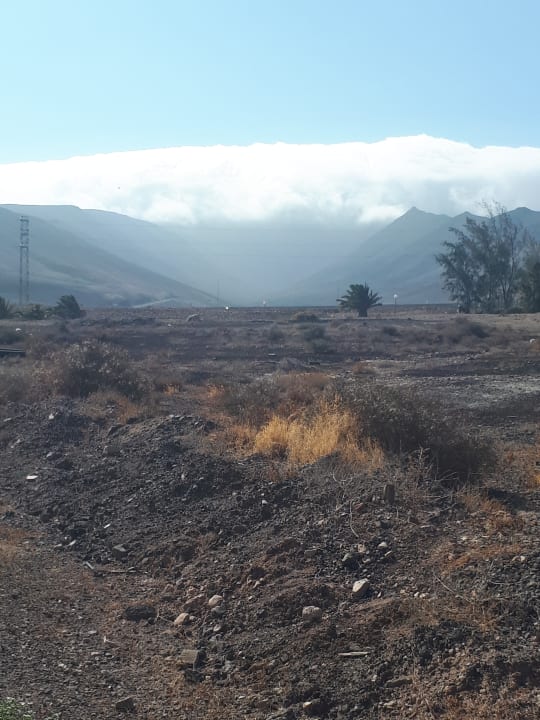 Ausblick AluaVillage Fuerteventura