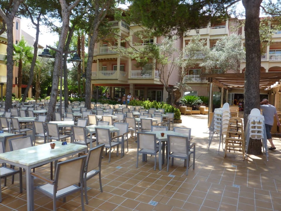 Alla Card Restaurant Zafiro Bahia