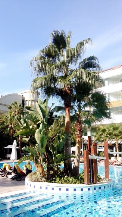 Pool Port Side Resort Hotel