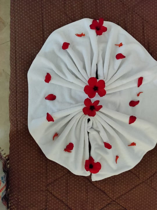 Zimmer Medina Solaria & Thalasso