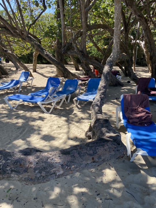 Strand Sunscape Puerto Plata