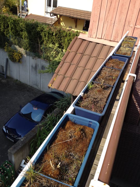 Gartenterrasse Hotel Dreikönig