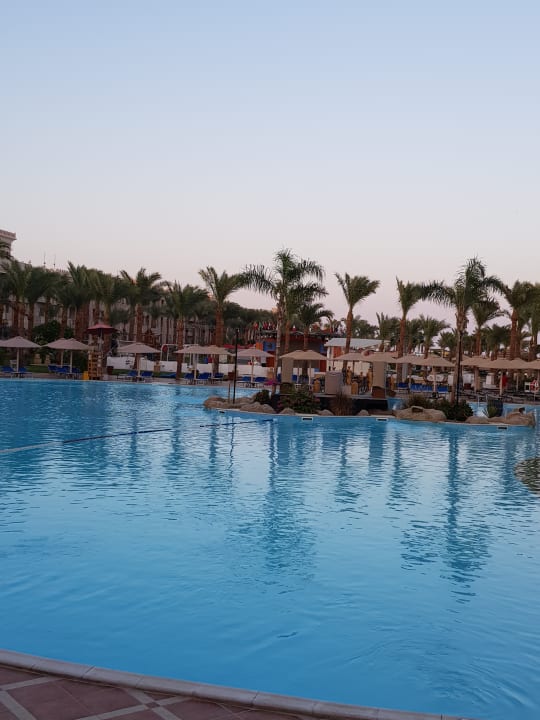 Pool Pickalbatros Palace Resort