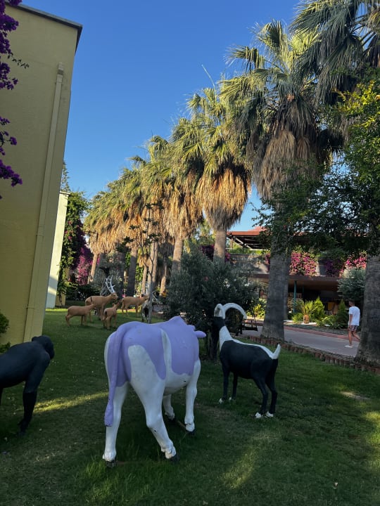 Gartenanlage VONRESORT Golden Beach