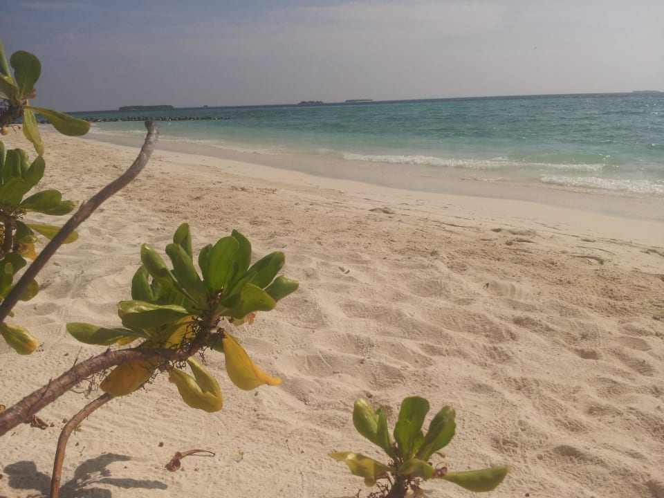 Südseite Strand Kuredu Island Resort & Spa