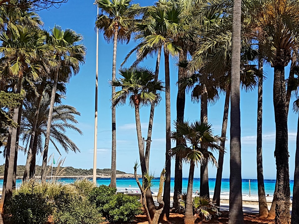 Strand Hipotels Mediterraneo Club