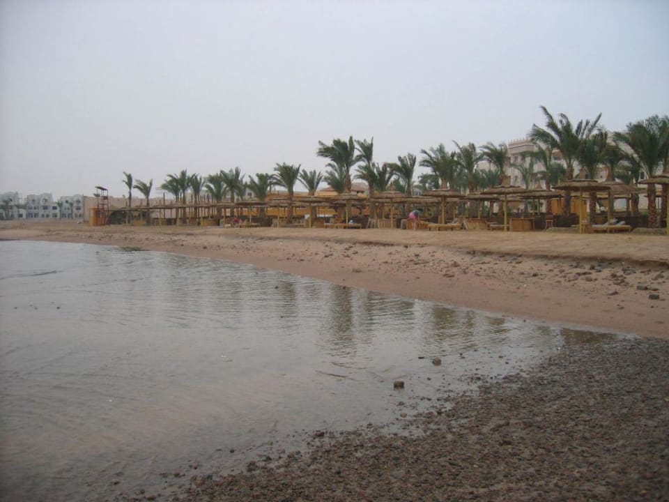 Strand bei Ebbe, im Vordergrund mit Riff Pickalbatros Palace Resort