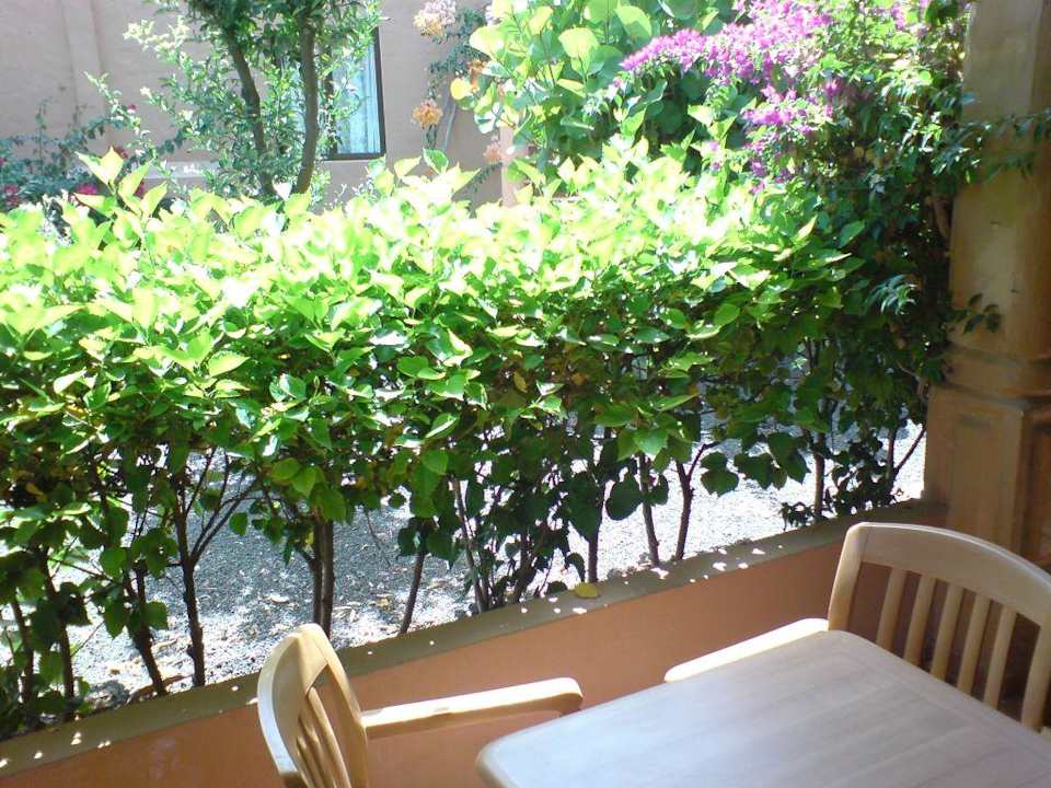 Terrasse Hotel Oasis Dunas