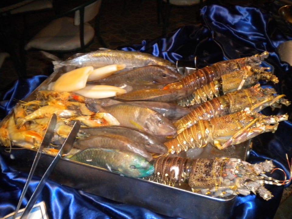 Frisch und ausgezeichnet zubereitet Imperial Shams Abu Soma