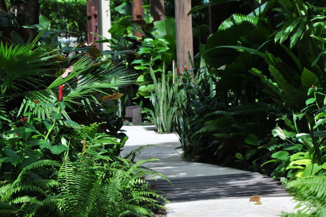 Weg Anantara Rasananda Koh Phangan -  Villas