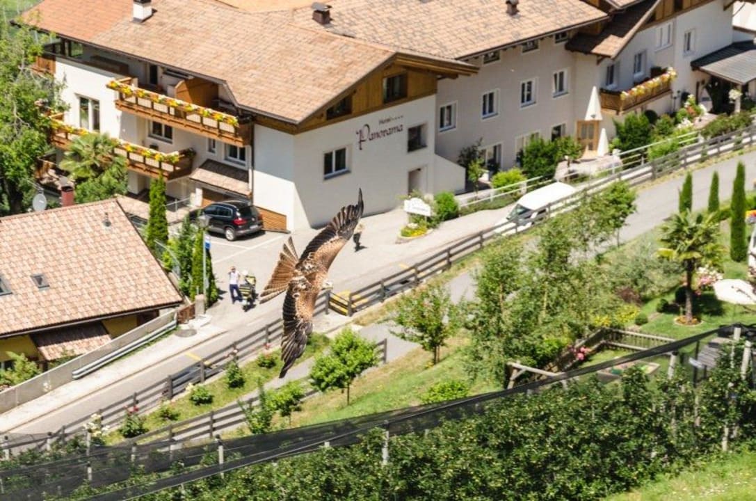 Flugshow Hotel Panorama