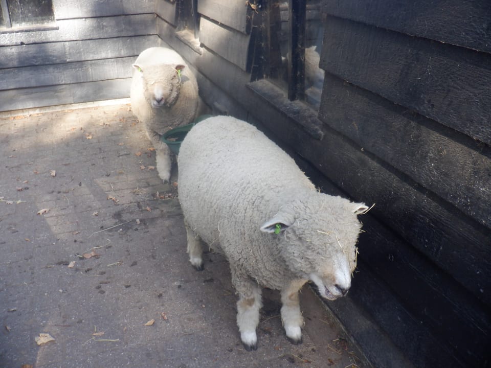 Sport & Freizeit Center Parcs De Kempervennen