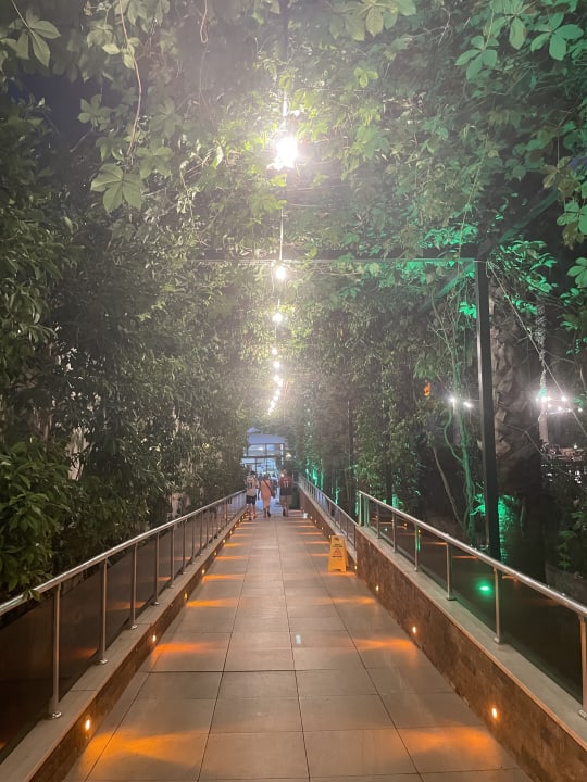 Gartenanlage Hane Family Resort