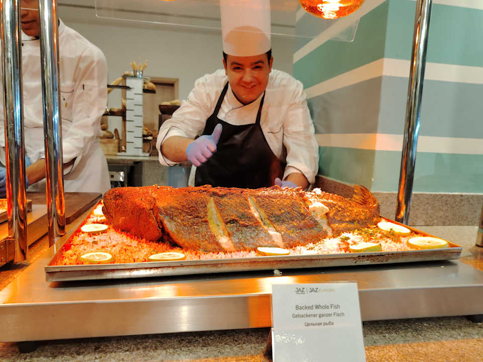 Gastro JAZ Elite Asteria