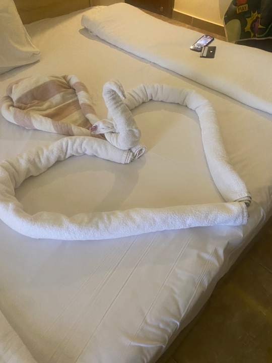 Zimmer Pickalbatros Aqua Blu Resort - Hurghada