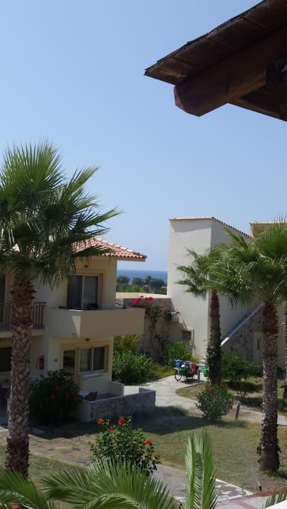 Zimmer Achilleas Beach Adults Only