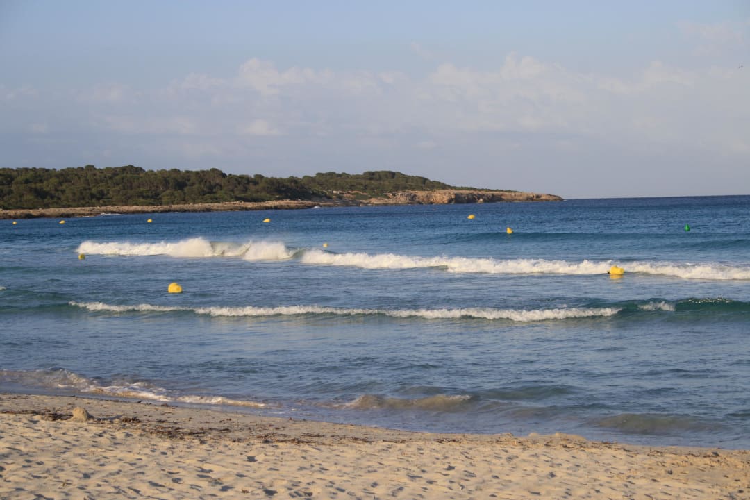 Strand Protur Palmeras Playa Aparthotel