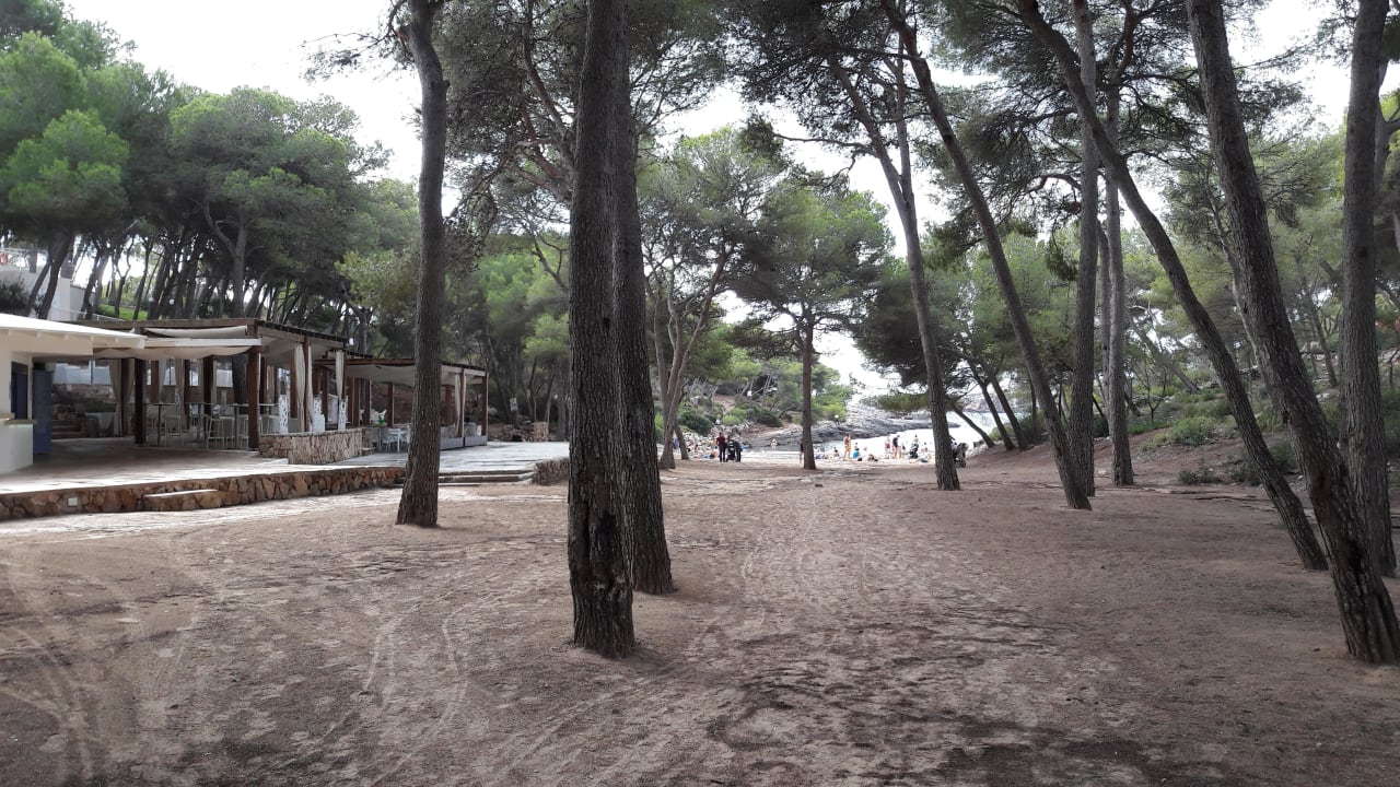 Stand Iberostar Waves Club Cala Barca