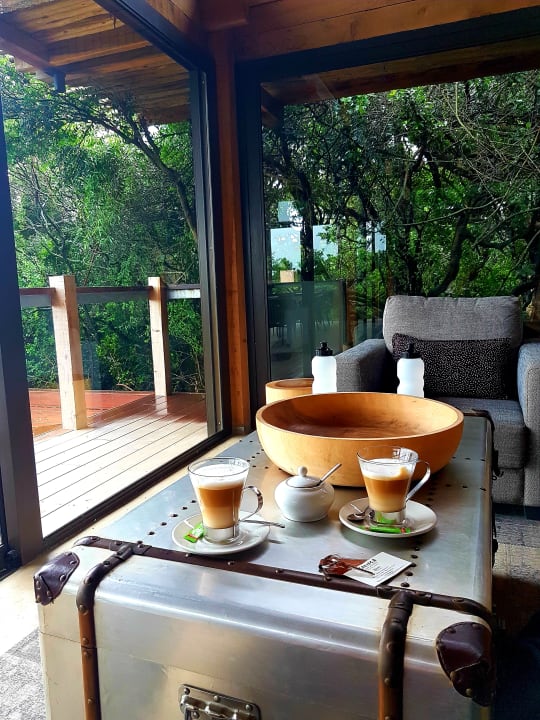 Gastro Kariega Game Reserve - Ukhozi Lodge