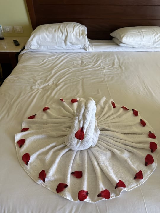 Zimmer Casa Mare Resort