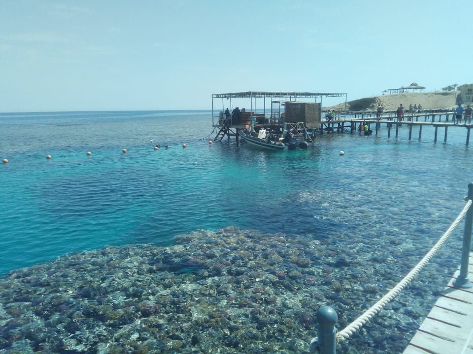 Strand Jaz Solaya