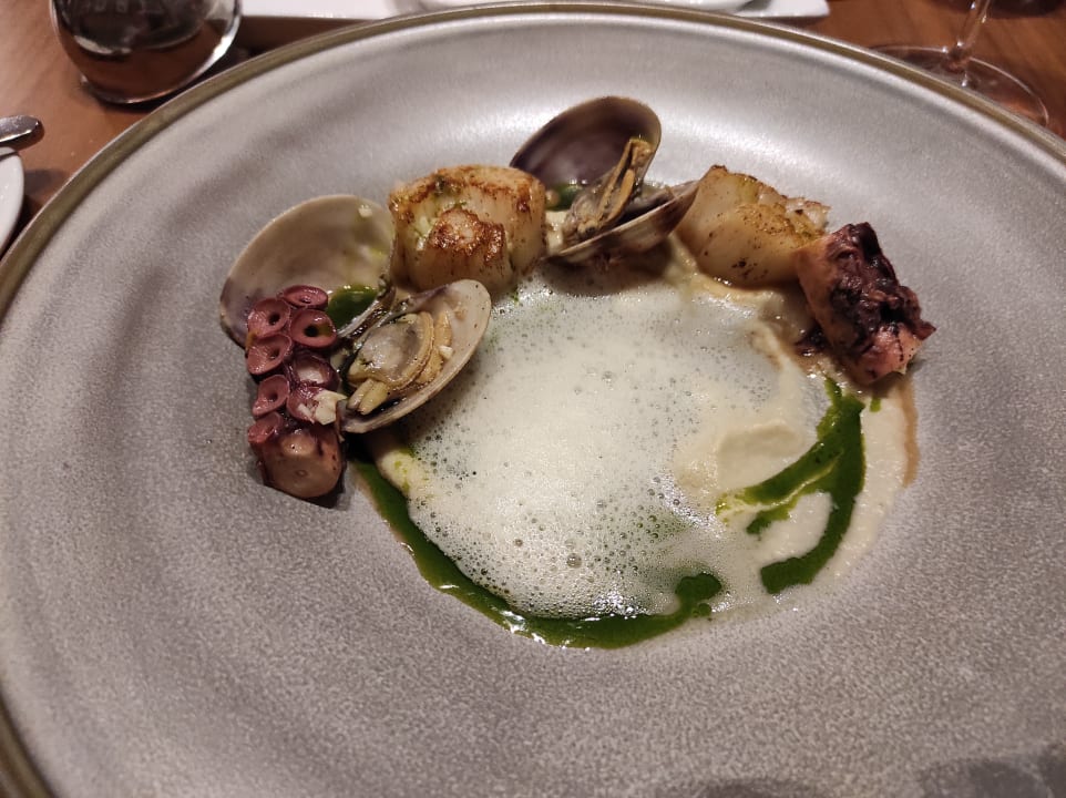 Gastro Acanthus Cennet Barut Collection