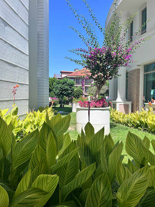 Gartenanlage Alba Queen Hotel