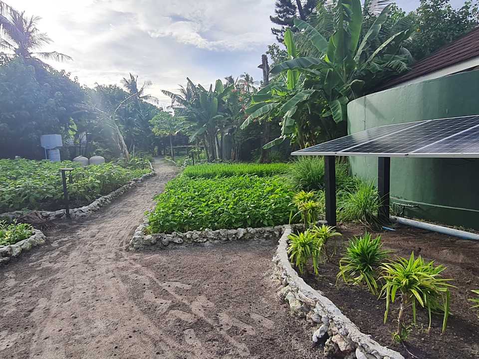 Sonstiges Ellaidhoo Maldives by Cinnamon