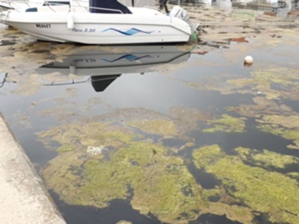 Außenansicht Hotel IN Biograd