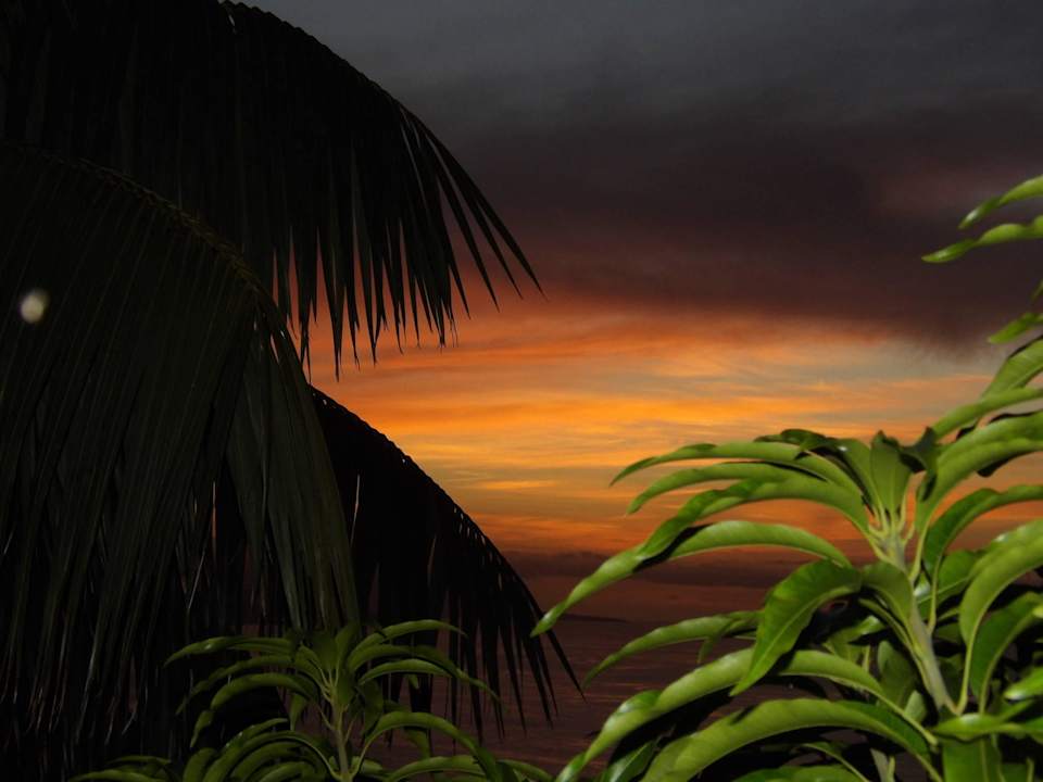 ...bis abends Jardin Mariposa Retreat- und Seminarzentrum