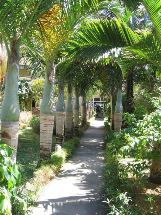 Weg zur Rezeption Friday Attitude