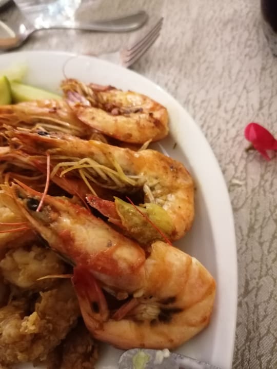 Gastro Pickalbatros Aqua Blu Resort - Hurghada