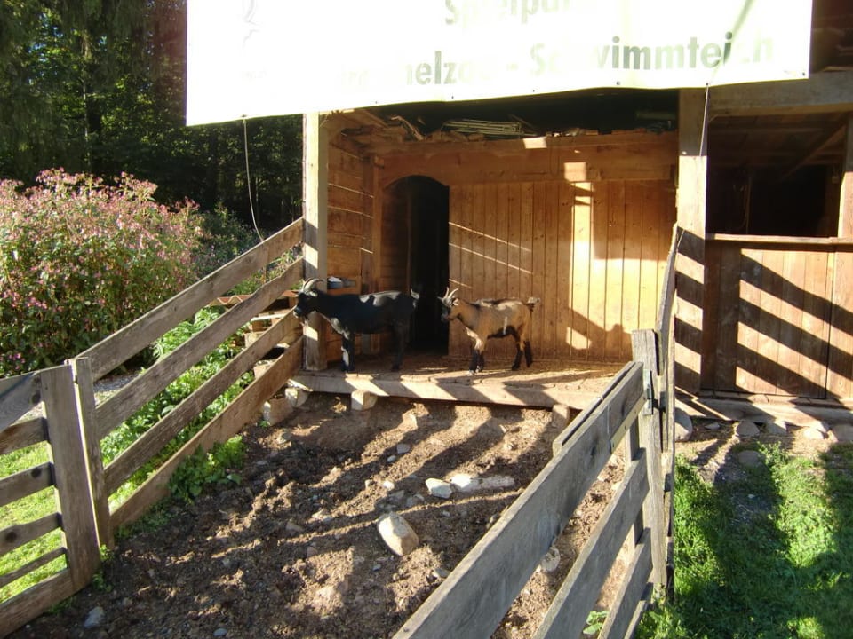 Geissenstall Hotel Berghof