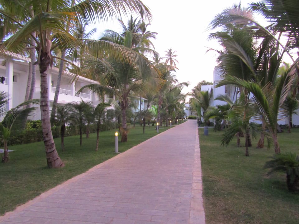 Gartenanlage Hotel Riu Bambu