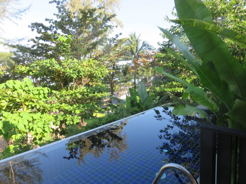 Pool Moracea by Khao Lak Resort